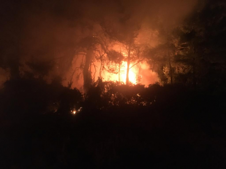 Yolcu otobüsünde başlayan yangın ormana sıçradı
